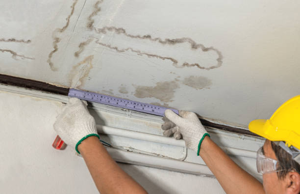 Reliable Water Extraction contractor in Cookstown, NJ by Water Damage Irwin